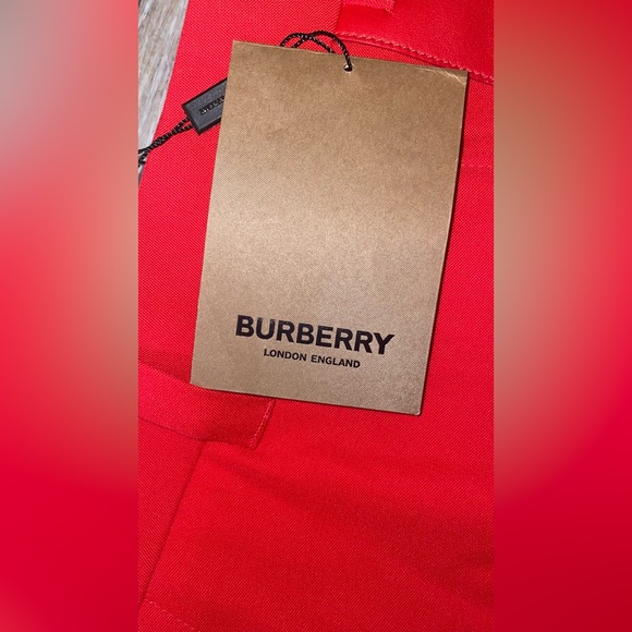 Burberry Bright Red Calf Leather Side-Stripe tailored trousers - Cupro/Wool NWT - Picture 6 of 11